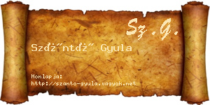 Szántó Gyula névjegykártya